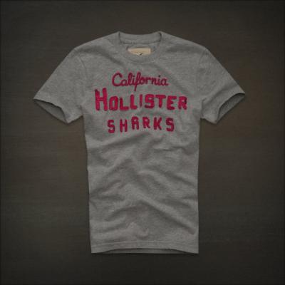 Hollister Men Shirts-437